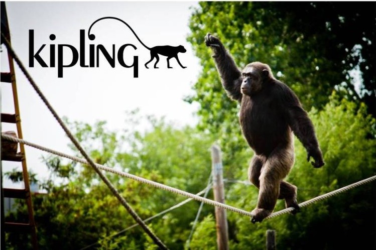 kipling Monkey